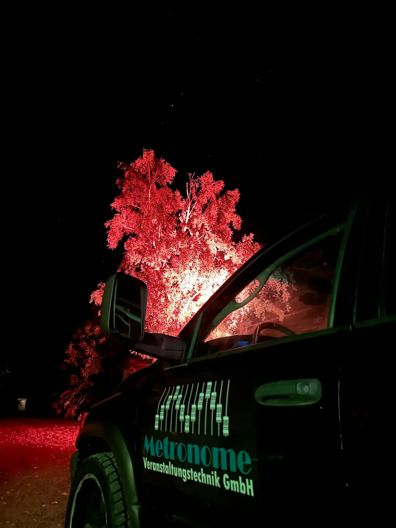Nachtlauf: rot angestrahlter Baum als Lichtstimmung an der Laufstrecke